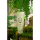 Молочко для тела Зеленый чай Имбирь La Sultane De Saba Body Lotion Green Tea and Ginger 200 мл 3700448601186 - изображение 4