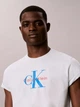 Футболка хлопковая длинная мужская Calvin Klein 4RB861G-CHE(Misty Blue) 2XL Светло-голубая (196669614587) - изображение 5