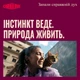Корм вологий Carnilove Chicken & Lamb для котів паштет курка і ягня 100 г - зображення 6