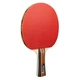 Комплект для настольного тенниса Joola Family Advanced 4 Bats 6 Balls (54823) (930800) Joola 930800 1051340 - изображение 2