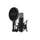 Микрофон Rode NT1GEN5B (233985) Rode 233985 1055344 - изображение 1