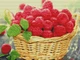 Алмазная мозаика на подрамнике ColorArt 30x40 Малина в корзине STP480 + Подарок лак для покрытия, полная выкладка, квадратные алмазики, набор для творчества и рукоделия - изображение 2