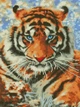 Алмазна мозаїка ColorArt 30х40 Тигр ST476 - изображение 2