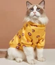 Кофта для котов (кошек) Лаки Желтый мишка XS Желтый - изображение 1