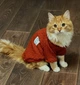 Кофта для котов (кошек) Кружево M Красный - изображение 4