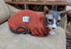 Кофта для котов (кошек) Кружево M Красный - изображение 5