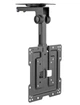 Стельовий кронштейн для телевизора Gembird CM43ST01 19-43 дюймов - изображение 2