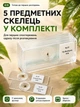 Мікроскоп дитячий цифровий LEXEGO електронний портативний ручний з IPS-екраном 2″, збільшенням до 1000×, LED-підсвіткою, фото та відеозаписом, підтримкою MicroSD, USB Type-C, навчальний мікроскоп для дітей і школярів KMIC-YW - зображення 4