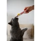 Мультивітамінна паста GimCat Every Day Extra для котів, 50 г - зображення 4