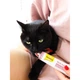 Паста GimCat Every Day Malt-Soft Paste Extra для кошек, выведение шерсти из желудка, 100 г - изображение 6