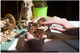 Механический 3D пазл Коробка передач деревянный для изучения работы механизмов 120 элементов Ugears MC-5190 - изображение 8