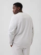 Свитшот на флисе мужской GAP 954553718 XL Серый (1160793555) - изображение 2