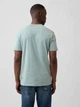 Футболка хлопковая мужская GAP 620362289 M Зеленая (1160673900) - изображение 2