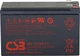 Аккумуляторная батарея CSB AGM 12V-9Ah (HR1234WF2) - изображение 2
