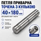 Петля для воріт приварна 40*180мм з підшипником - зображення 1
