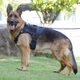 Шлея для собак Vest, тактический жилет с ручкой и системой MOLLE, черный М (132М-BLACK) - изображение 4