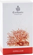 Парфумована вода унісекс Carthusia Corallium 50 мл (8032790462845) - зображення 2