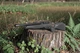 Винтовка пневматическая Gamo Arrow (PCP) кал. 4,5 мм - изображение 2