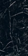 Керамогранітна плитка Allore Group Marquina Black F P R Mat 60х120 - изображение 1