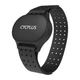 Браслет Cycplus H1 с датчиком пульса (H1-HRMB) - изображение 1