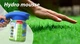 Распылитель для жидкого газона Hydro Mousse - изображение 1