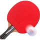 Ракетка для настольного тенниса DOUBLE FISH Qilin 3-Star High-End Competition Racket с короткой ручкой, для игры хватом «перо», универсальная, для атакующих игр. Qilin Yellow - одинарная ракетка для игры хватом «перо». - изображение 1