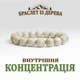 Браслет ручной работы из бусин Граба • Натуральный амулет-талисман - изображение 1