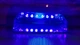 LED Лампа для нігтів манікюру Сушилка гібридна УФ LED+CCFL 36W UKC червона - зображення 4