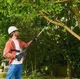 Аккумуляторный высоторез Bosch UniversalChainPole 18 (18 В, 2.5 Ач, 200 мм) с телескопической ручкой (24878) - изображение 4