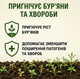 Гірчиця жовта 1кг - сидерат для покращання структури землі, знищення бур'яну - зображення 4