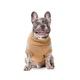 Свитер вязаный Pet Fashion Rich для собак коргі L - изображение 3
