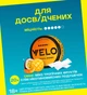 Бестабачные никотиносодержащие подушечки VELO Tropical Mango Интенсивный (4820270365441) - изображение 2