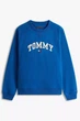 Світшот Tommy Hilfiger 54(2XL) Синій (151702) - зображення 2