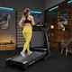 Беговая дорожка Trex Sport TX-1200TM ROOK - изображение 3