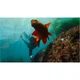 Монопод GoPro Extension Pole with Bluetooth Shutter Remote Black (AGXTS-002) [136751] - изображение 10