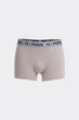 Труси боксери чоловічі бавовняні Giulia G-MAN 20401/60 M Beige-mushroom - зображення 6