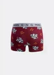 Боксеры мужские хлопковые принтованные Giulia G-MAN PRINT 20401/60 M Multicolor-burgundy/bulldog print, анатомический крой - изображение 3