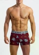 Боксеры мужские хлопковые принтованные Giulia G-MAN PRINT 20401/60 M Multicolor-burgundy/bulldog print, анатомический крой - изображение 4