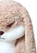 Плюшевый сердитый кролик 30 см мягкая игрушка-обнимашка злой заяц Angry Rabbit с длинными ушами - изображение 3
