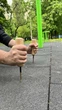 Т-подібні ручки для віджимань із шипами Neuro Grip push ups. ( Упори для віджимань) - зображення 5