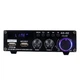 Підсилювач аудіо BlitzWolf AS-22 45W Black (5905316141117) - зображення 1