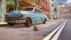 Ключ активации Little Strays - Havana для Xbox One/Series S/X - изображение 3