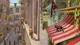 Ключ активации Little Strays - Havana для Xbox One/Series S/X - изображение 5