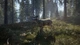 Ключ активации theHunter: Call of the Wild - Hunting Starter Bundle для Xbox One/Series S/X - изображение 5