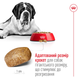 Сухий корм для собак Royal Canin Giant Adult для гігантських порід більше 45 кг від 18 місяців 15 кг - зображення 11
