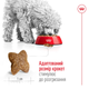 Сухой корм для собак Royal Canin Mini Adult для маленьких пород 4-10 кг от 10 месяцев 8 кг - изображение 12