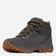 Buty trekkingowe męskie z membraną Columbia Newton Ridge Plus II Suede Wp 1746411091 41 (8US) Ciemnoszare (195981584745) - obraz 4