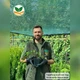 Саджанці Плюща звичайного (Hedera helix) Р9 - изображение 3