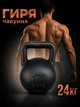 Гиря чугунная Newt 24 кг (NE-100-2400) - изображение 1