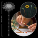 Конструктор Букет подсолнухов 686 деталей Конструктор цветы Icons Botanicals Sunflower Bouquet - изображение 7